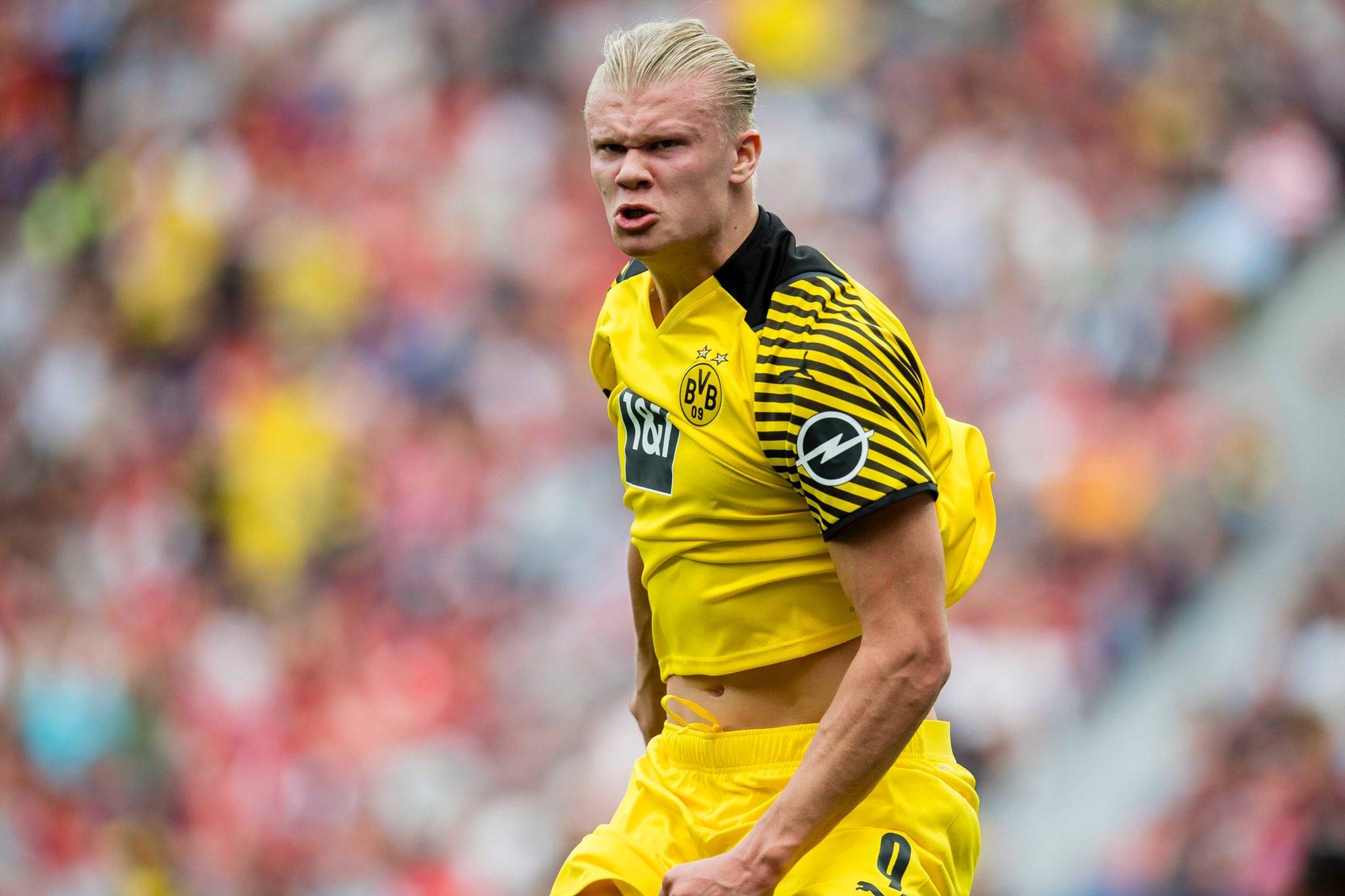 盗版通通闪开！正版《沙威玛传奇》“杀”回来了 ｜ 休闲新游周报